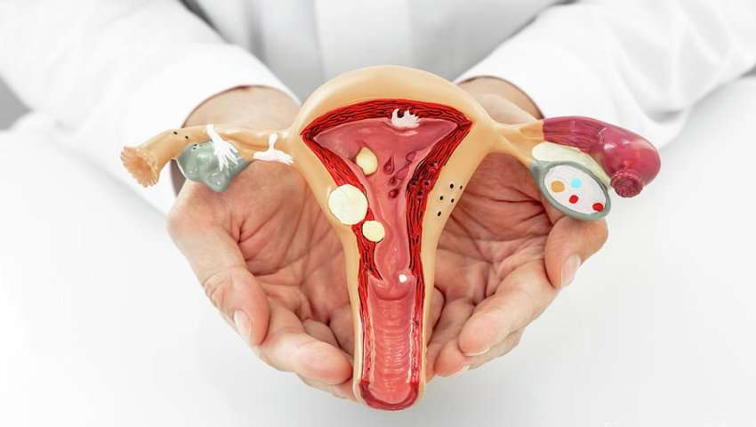 All Gynae Problems, Delivery